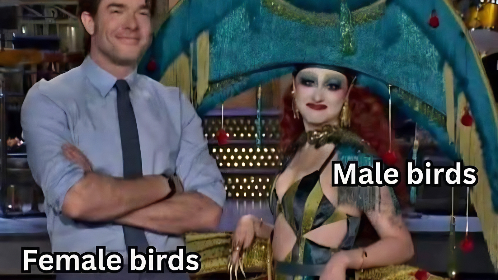 funny meme about male vs female birds