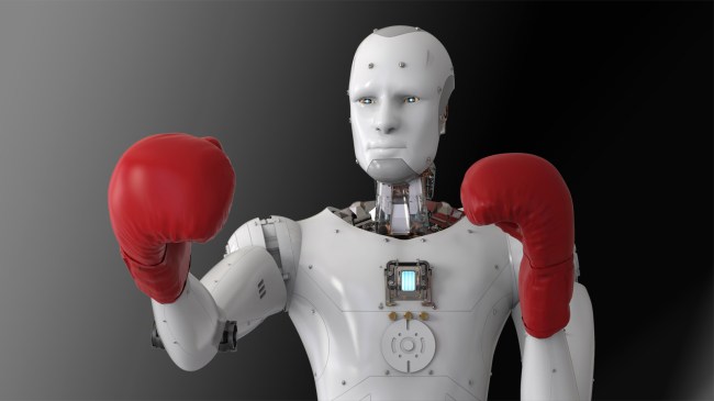 humanoid-robot-boxing
