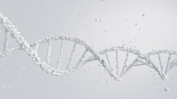 Scientists Spark Controversy By Trying To Create Artificial Human DNA