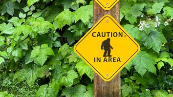 ‘Left As Fast As We Could’: Group Searching For Lost Woman In Arizona Reports Run-In With Bigfoot