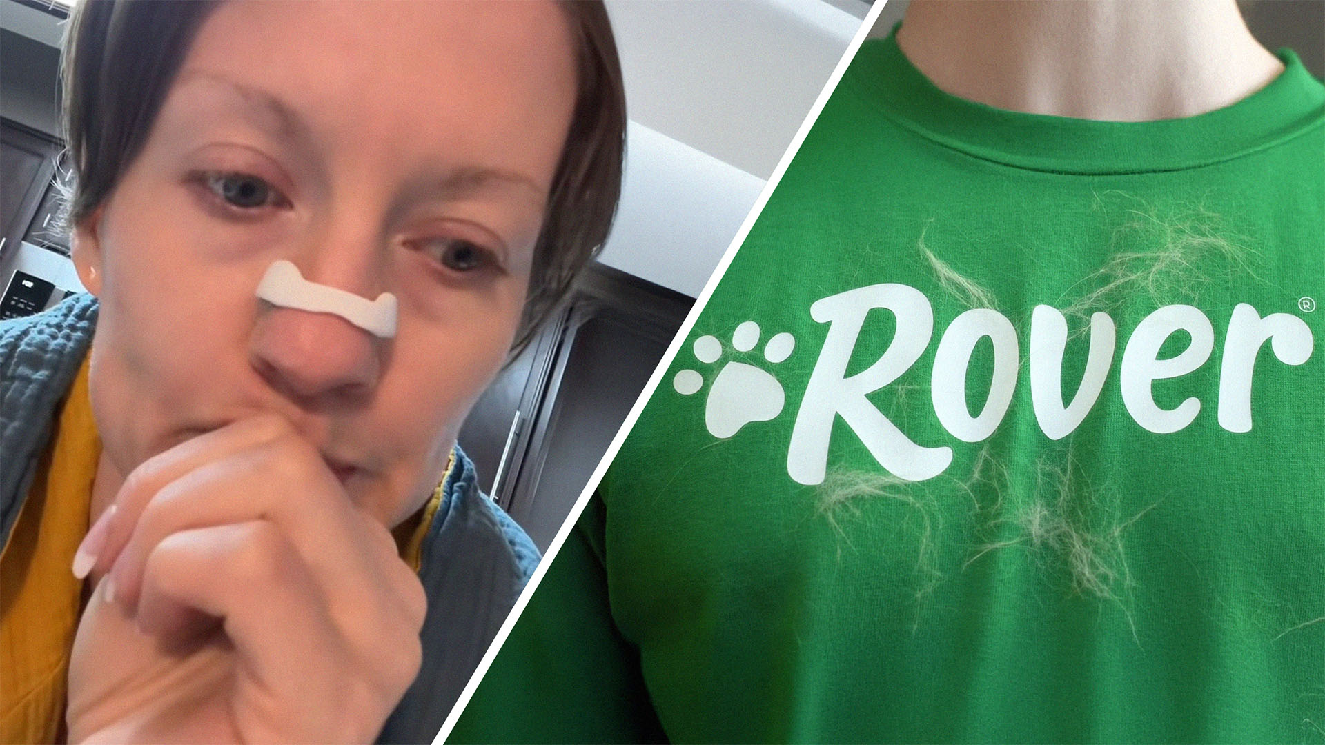 Easy Mistake?: Rover Sitter Mixes Up Grill Pellets And Dog Food