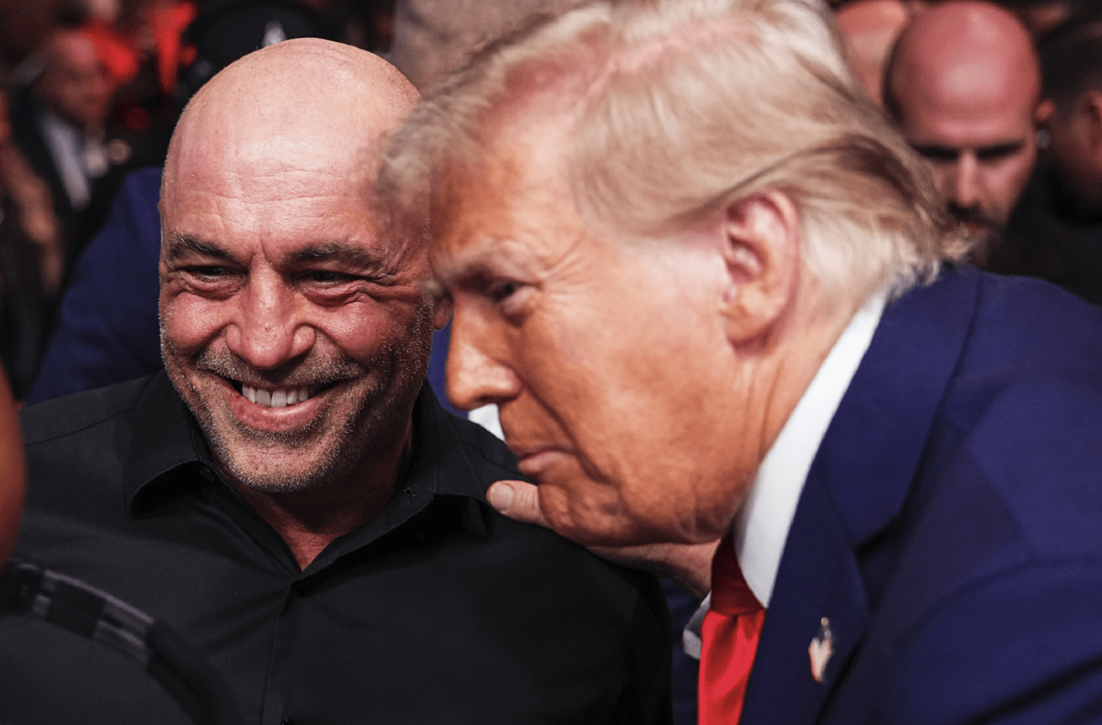 Joe Rogan Ice Ba Joe Rogan Reportedly Confronted Trump Over ICE Raids At Dinner With ...