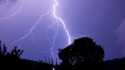 Florida Sheriff’s Office Shares Mesmerizing Slow-Mo Video Of Tree Getting Nuked By Lightning As A Wildfire Warning