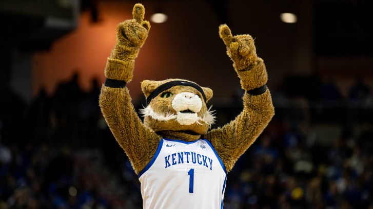 University of Kentucky mascot bobcat