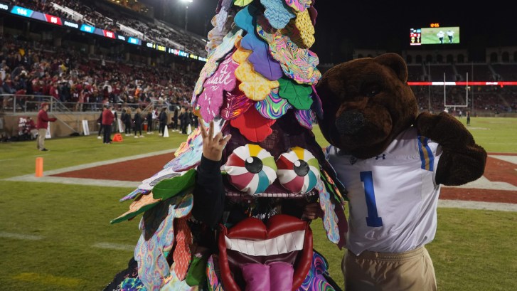 the unhinged Stanford Tree mascot