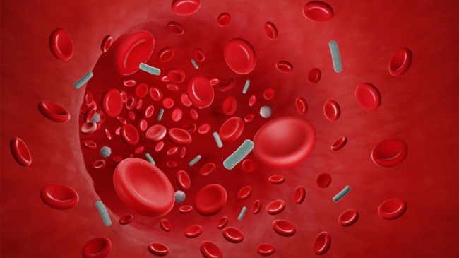 Bacteria-in-blood-flow-Bacteremia-or-Sepsis