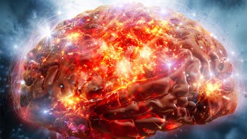 A New Brain Implant Can Decode The ‘Inner Monologue’ Taking Place In A Person’s Mind