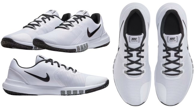 Nike Flex Control 4 workout shoes