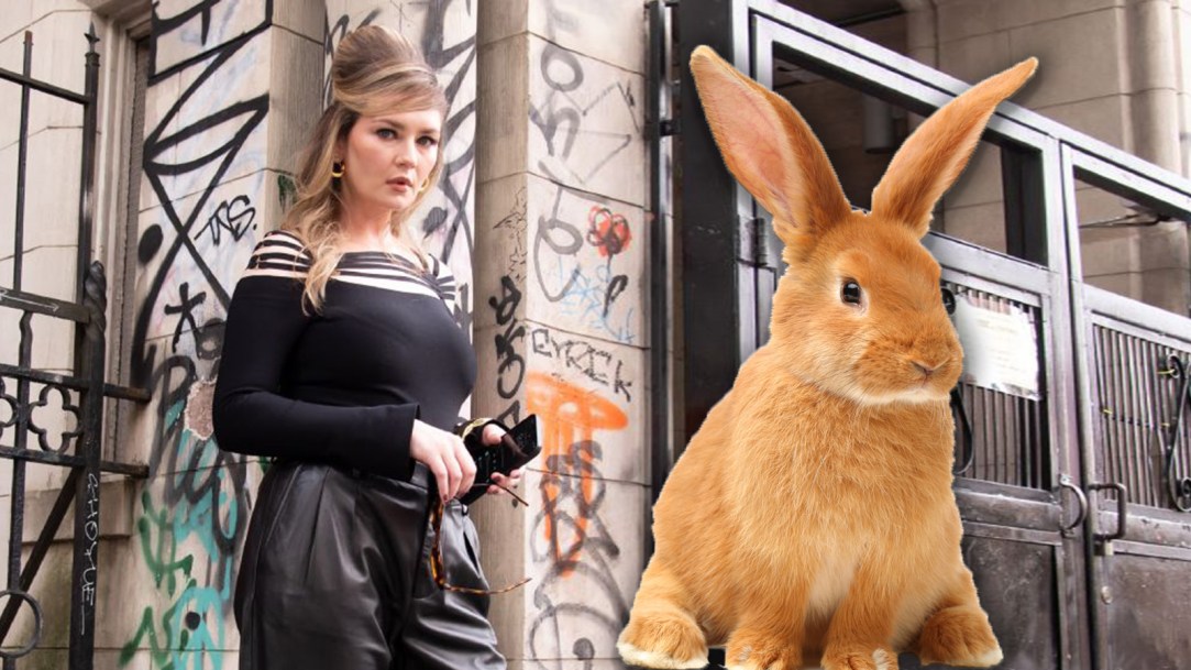 Anna Delvey Bunnies Photoshoot Dump Abandoned