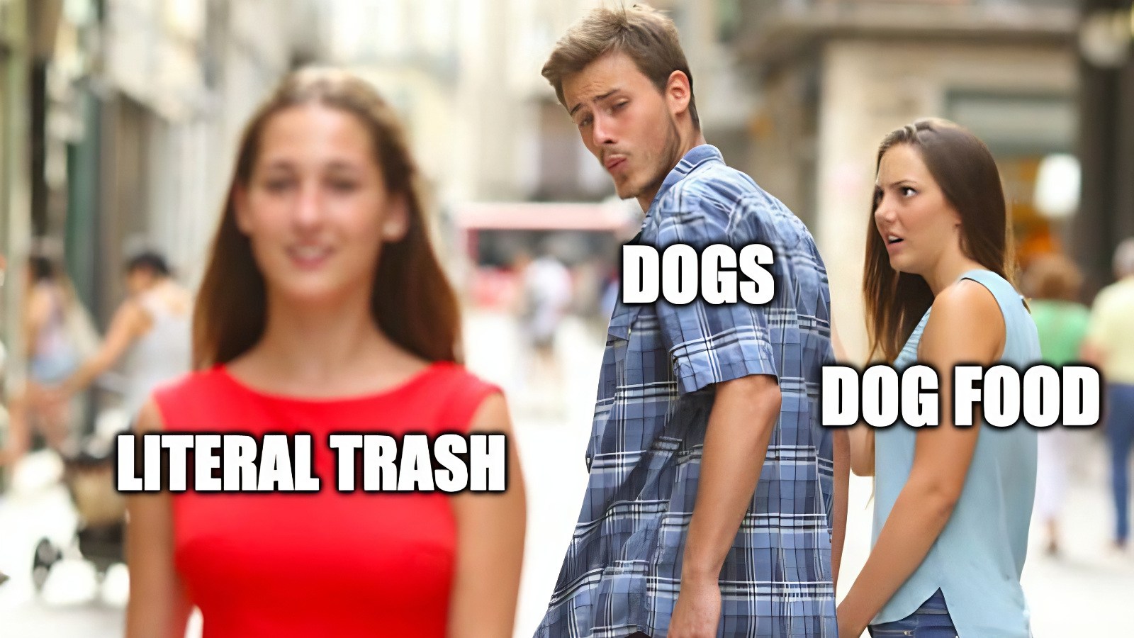 We Found The 53 Funniest Memes On The Internet Today