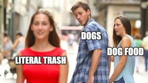 best meme about dogs eating any food
