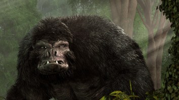 Upcoming Exhibition Of ‘Real Bigfoot Remains’ At New York State Fair Has Sasquatch Community Up In Arms