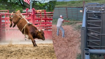 Oklahoma Bucking Bull Draws Legendary Comparison With Violent Ride (VIDEO)