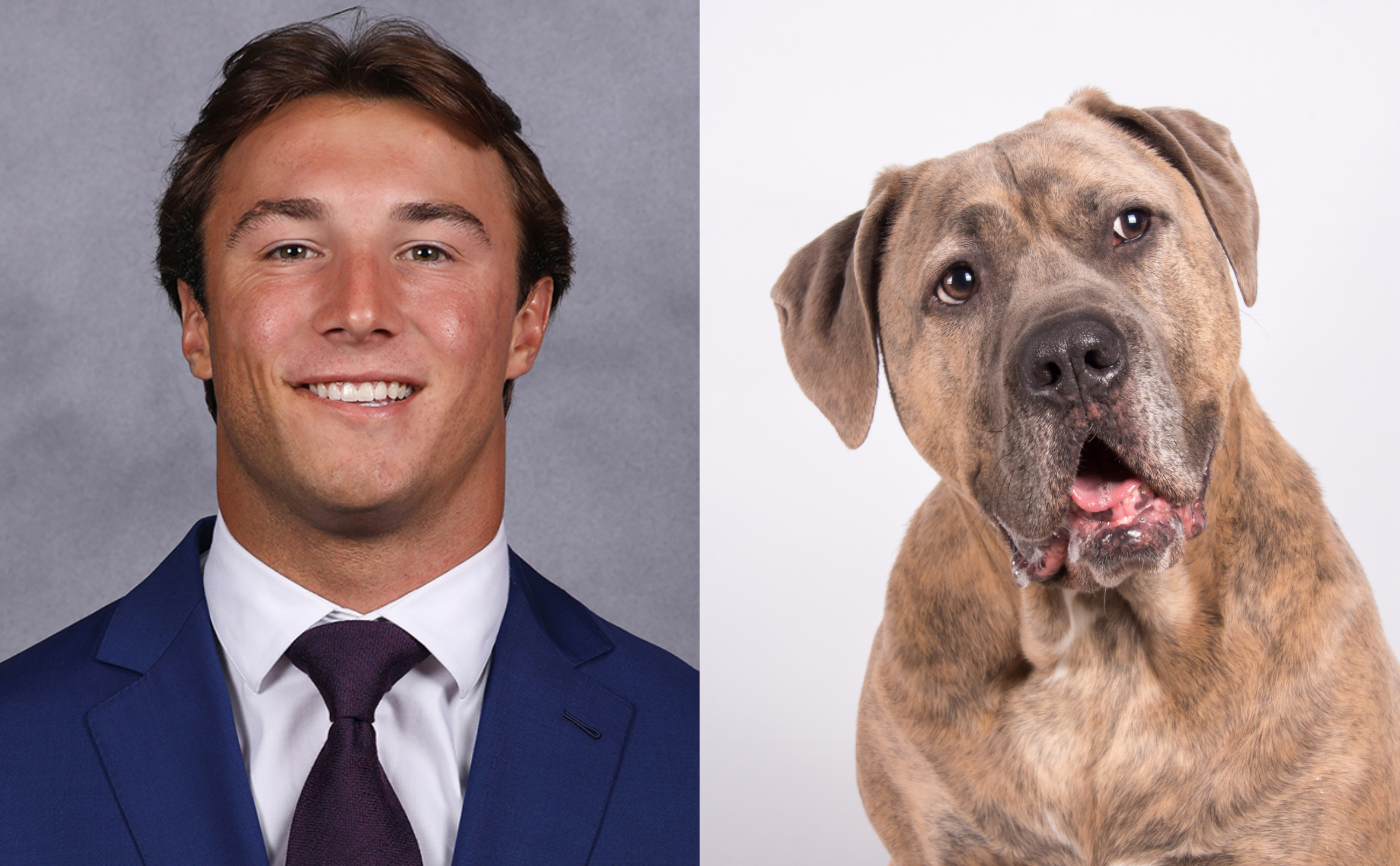 Clemson quarterback Cade Clubnik side by side with a bandog breed of dog