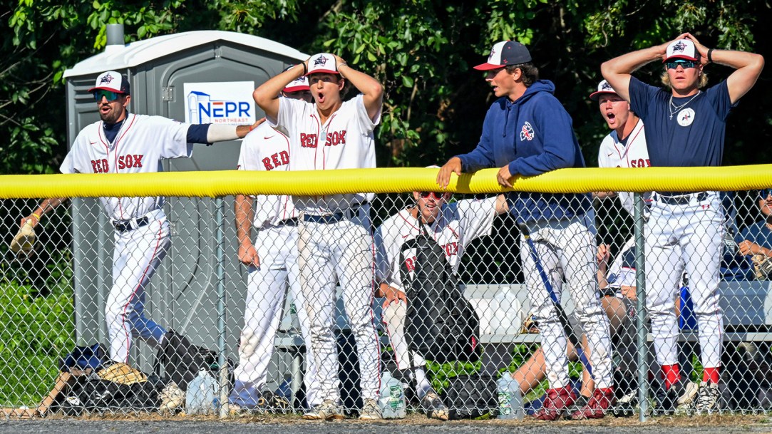 Cape Cod Summer League Baseball Decline Transfer Portal Threat