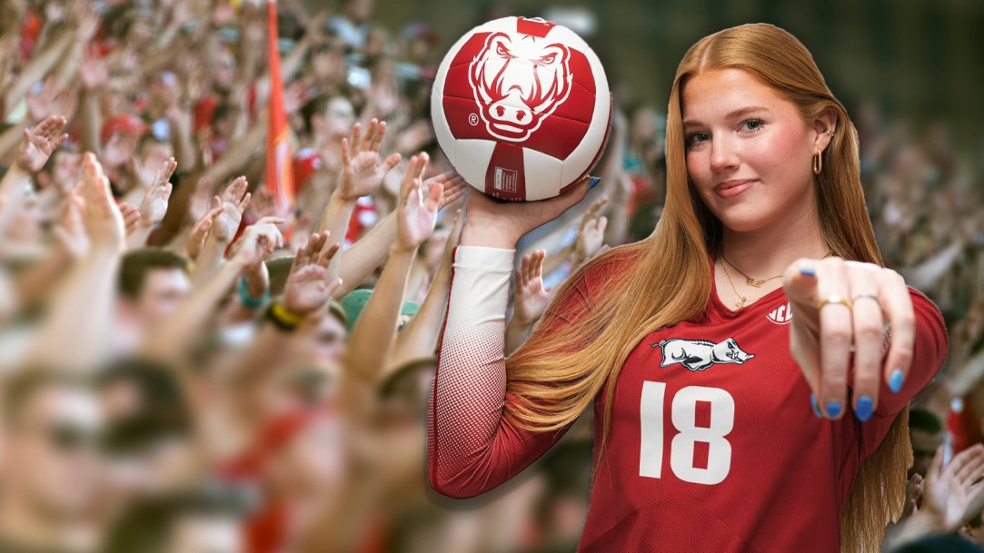 Elsie Law Volleyball Arkansas Highlights