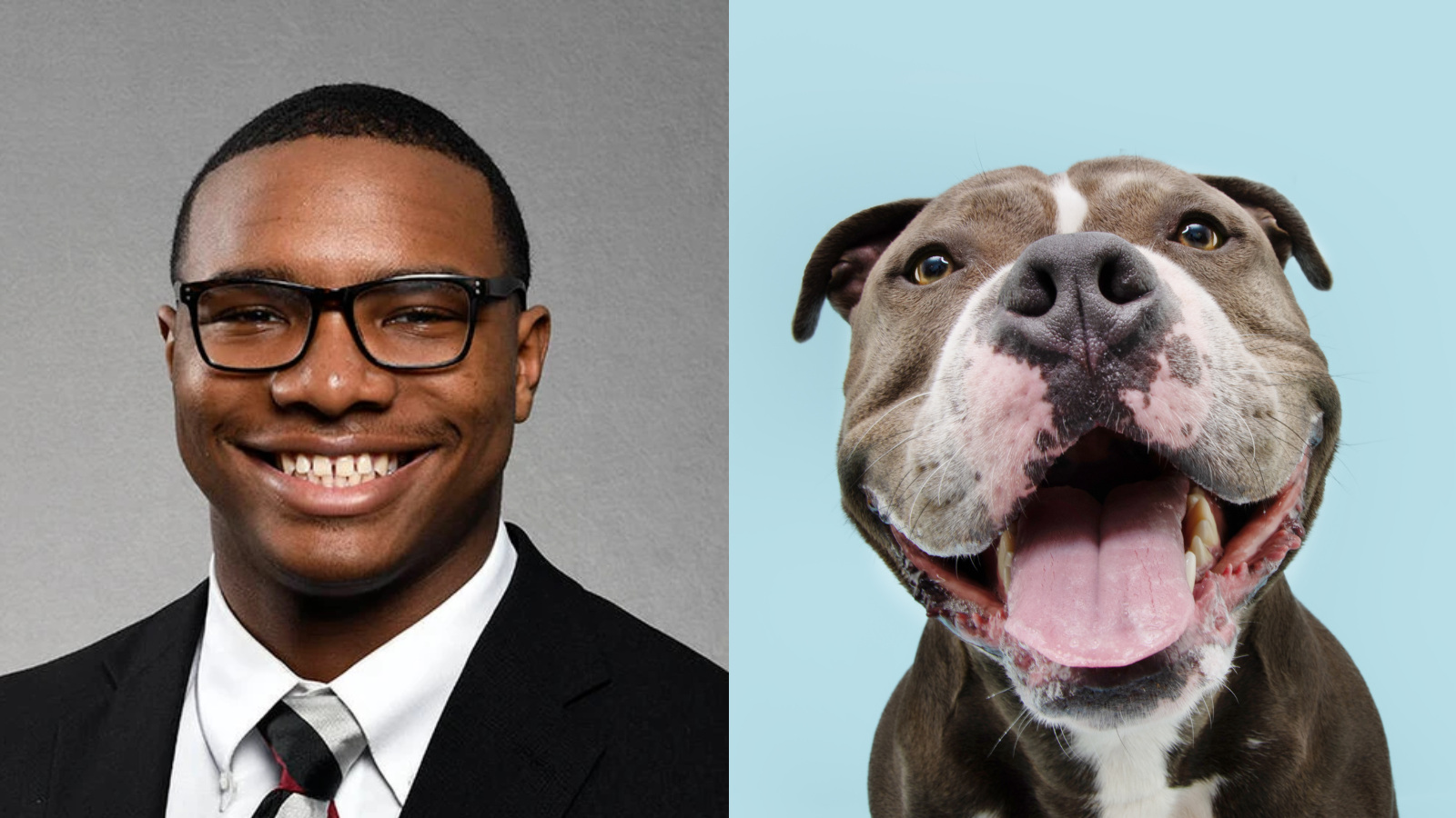 South Carolina quarterback LaNorris Sellers and an American Bully buldog smiling