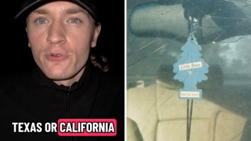 ‘Why Are We Cracking Down On Synthetic Fragrances?’: Man Issues Warning To Michigan, Texas, California Drivers After Hanging Little Trees Air Freshener On Rearview Mirror