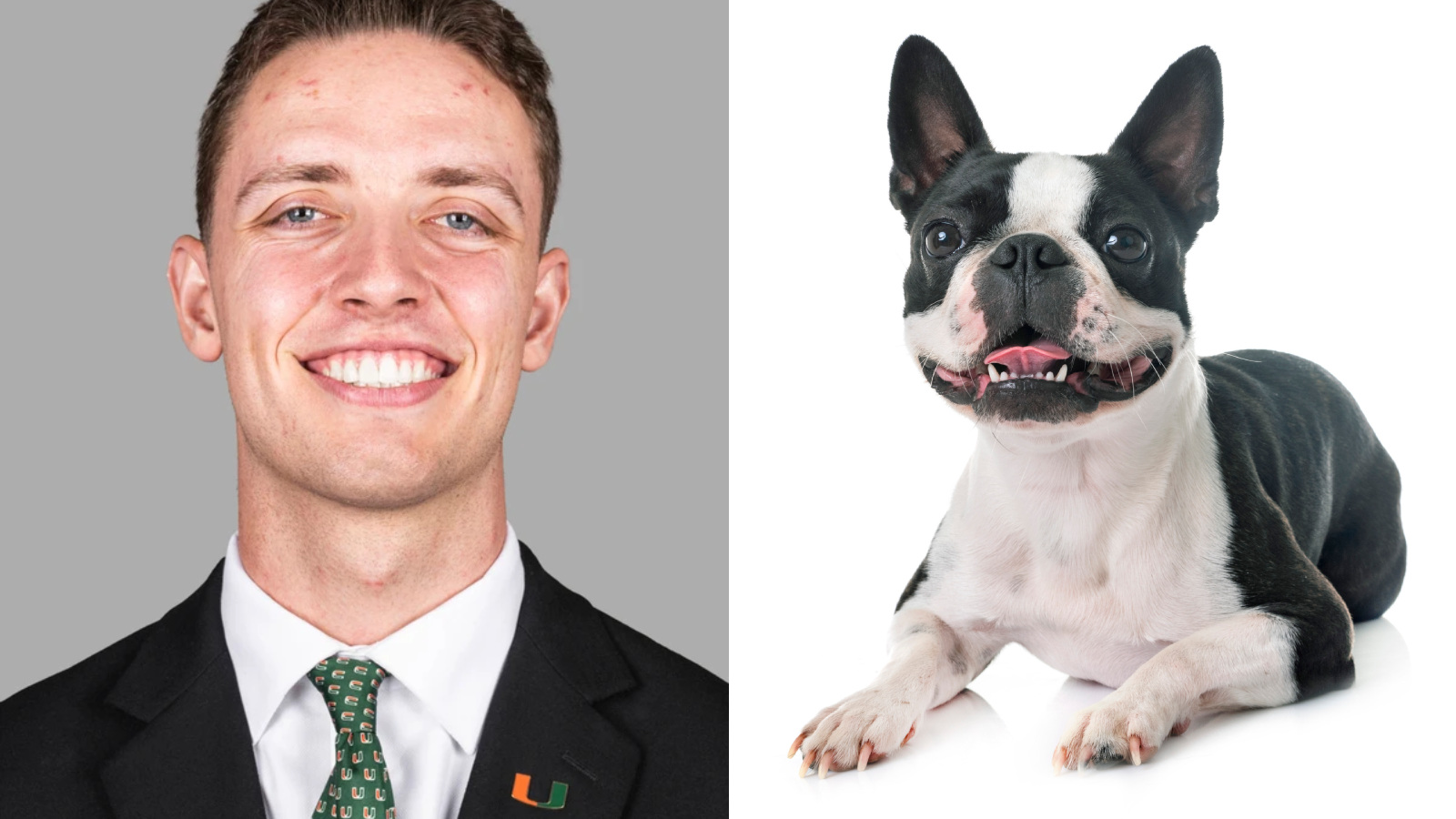 University of Miami quarterback Carson Beck looks like a Boston Terrier