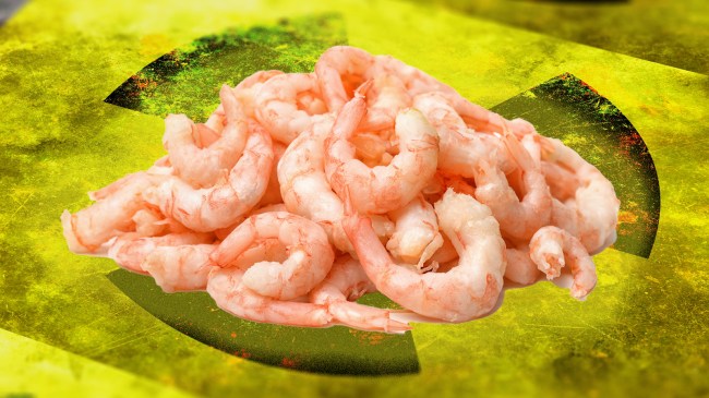 radioactive shrimp