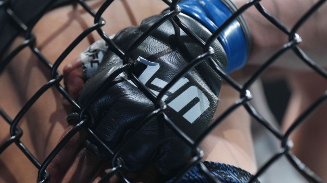 UFC glove