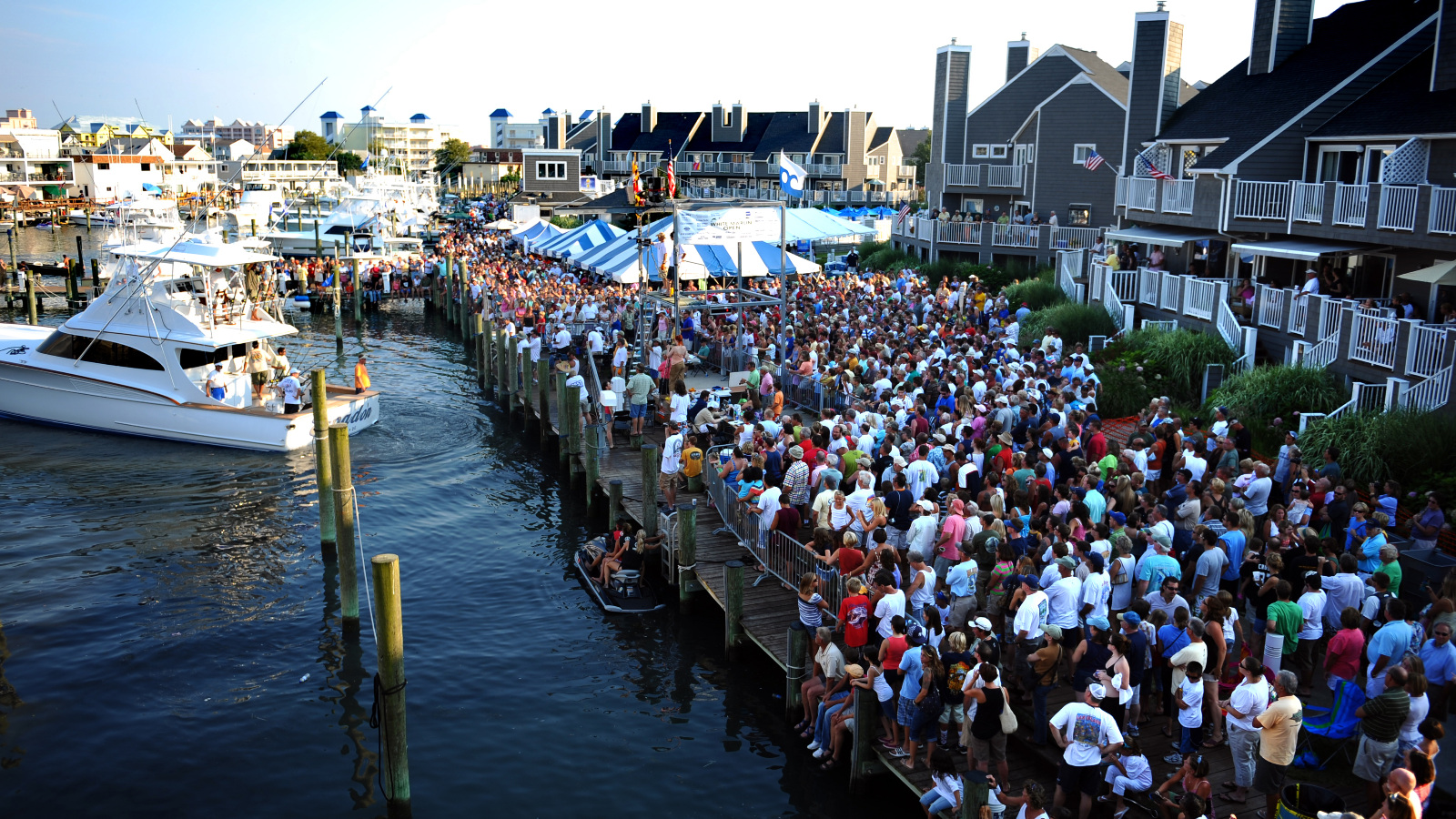 the White Marlin Open weigh-in at Ocean City, Maryland