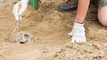 317 Skeletons Found Buried Under Abandoned Department Store In The UK By Archaeologists