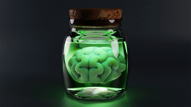 Brain-in-a-glass-jar