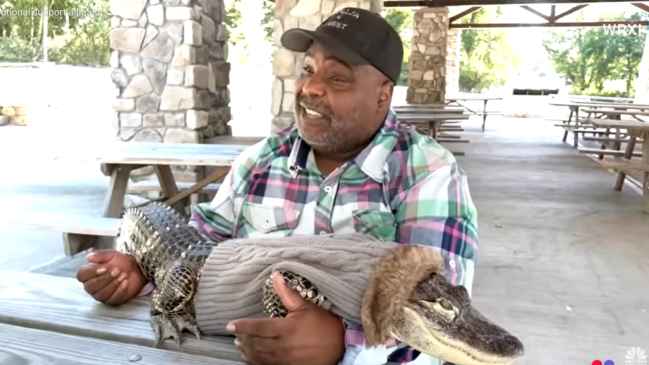 Pennsylvania Emotional Support Alligator