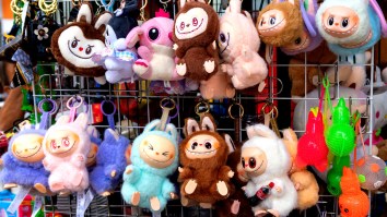 ‘Not Welcome In America’: Thousands Of Counterfeit Labubu Dolls Worth Over $500K Seized By Feds In Seattle