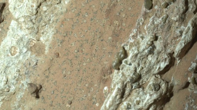 Mars-Cheyava-Falls-rock