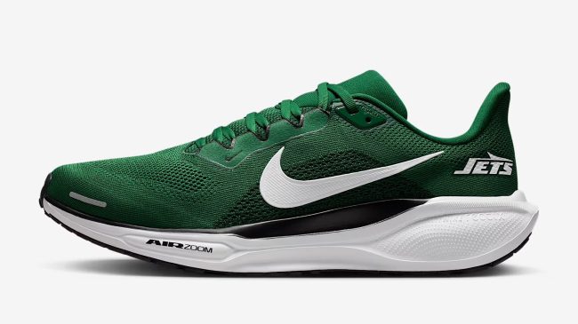 Pegasus 41 shoes for Jets