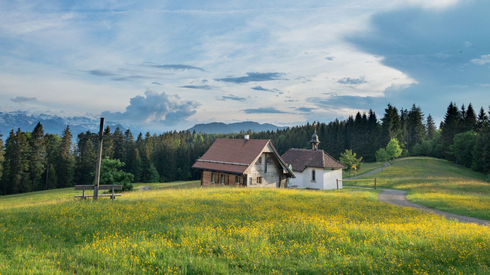 Ireland's countryside