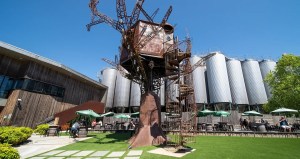 Dogfish Head Brewery