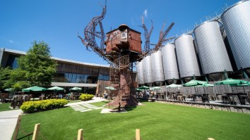 So You Think You Know Delaware? A Pilgrimage to Dogfish Head Brewery Will Change Everything