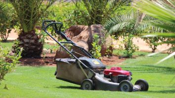 Can You Just Sprinkle Grass Seed On Lawn?