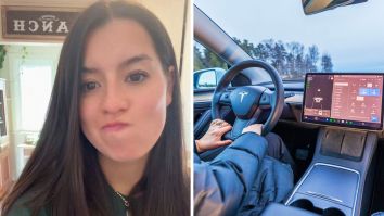 ‘Bro Completely Violated’: Seattle Woman Accidentally Backs Tesla Into Horse Trailer. Then The Car Roasts Her For It