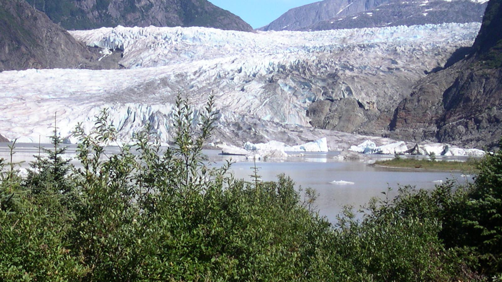 Scientists 'Woke Up' Ancient Life That Had Been Trapped In Alaskan Ice For 40,000 Years