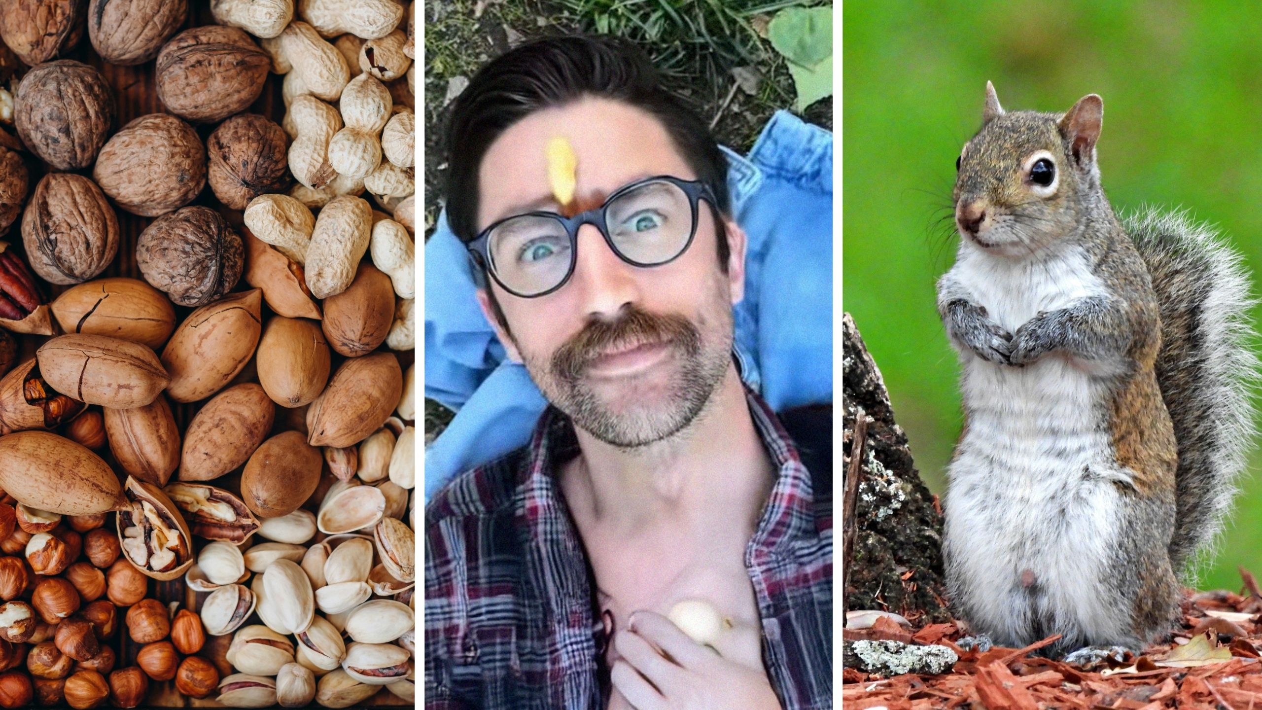 nuts (l) man laying down (c) squirrel (r)