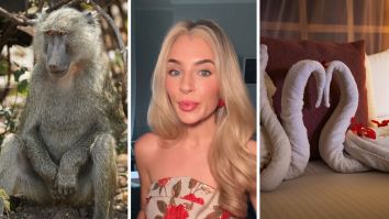 ‘Our Fault’: Dallas Newlyweds Go On Honeymoon Safari In Africa. Then They Catch Baboons Ransacking Their Hotel Room
