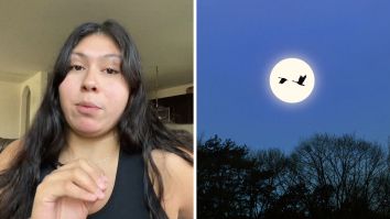 ‘Something Is Def Upppp’: Video Shows Something Unusual In Houston. Why Do People Think It’s Connected To A ‘Bayou Creature’?