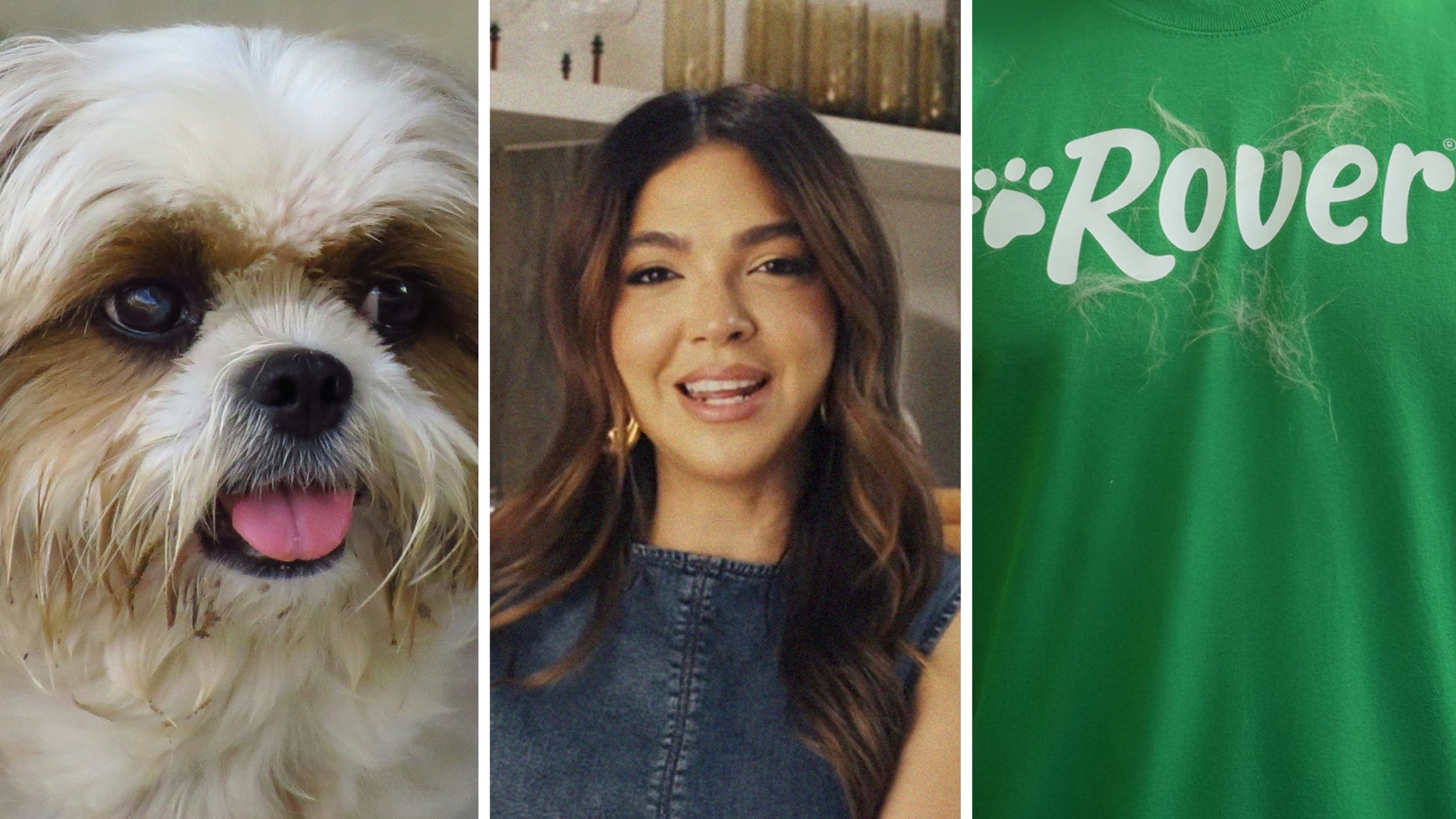 shih tzu (l) woman shares tragic dog story (c) rover logo (r)