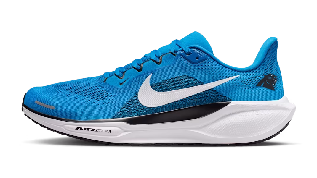 Pegasus 41 shoes for Panthers