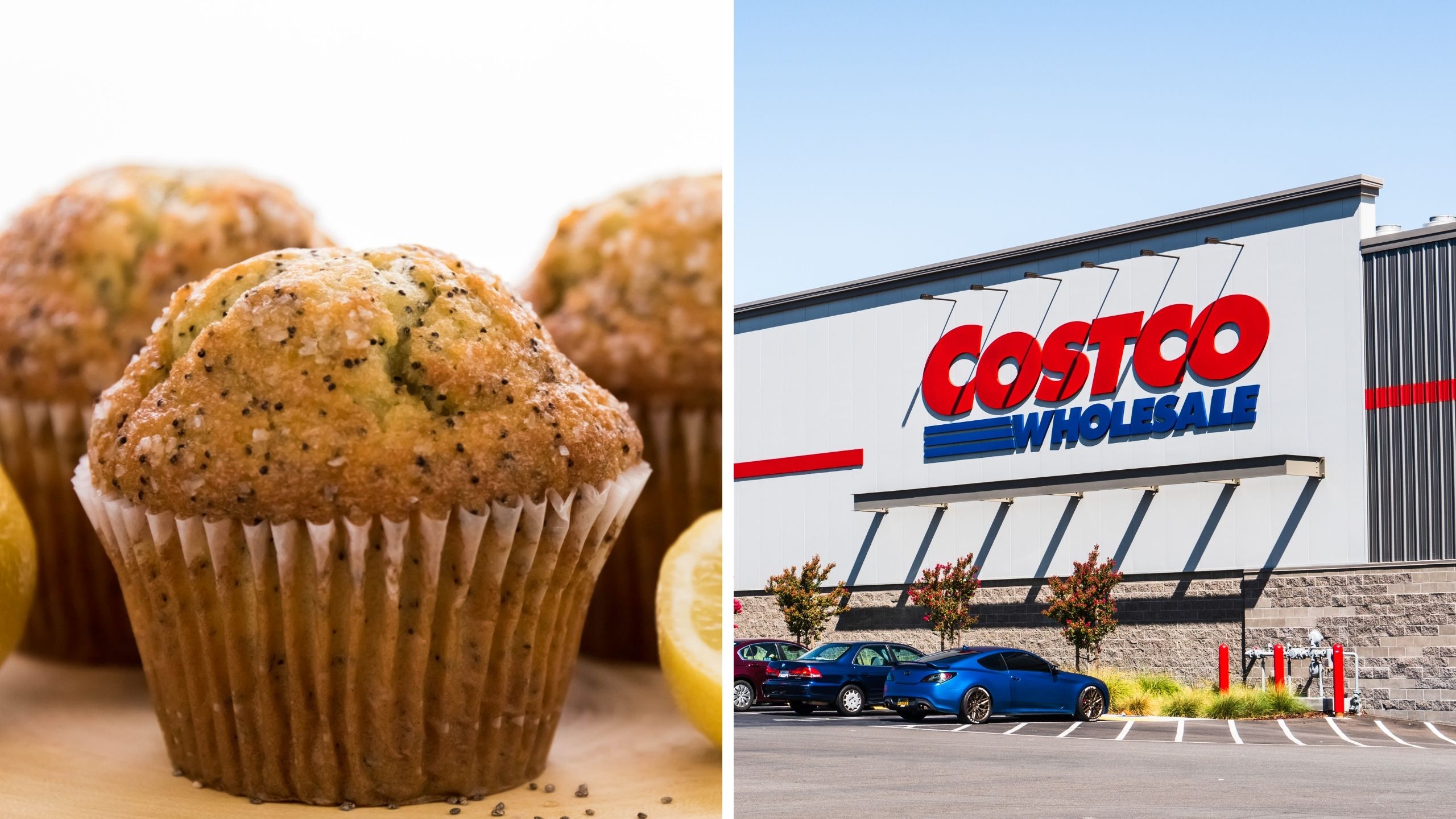 muffins (l) costco (r)