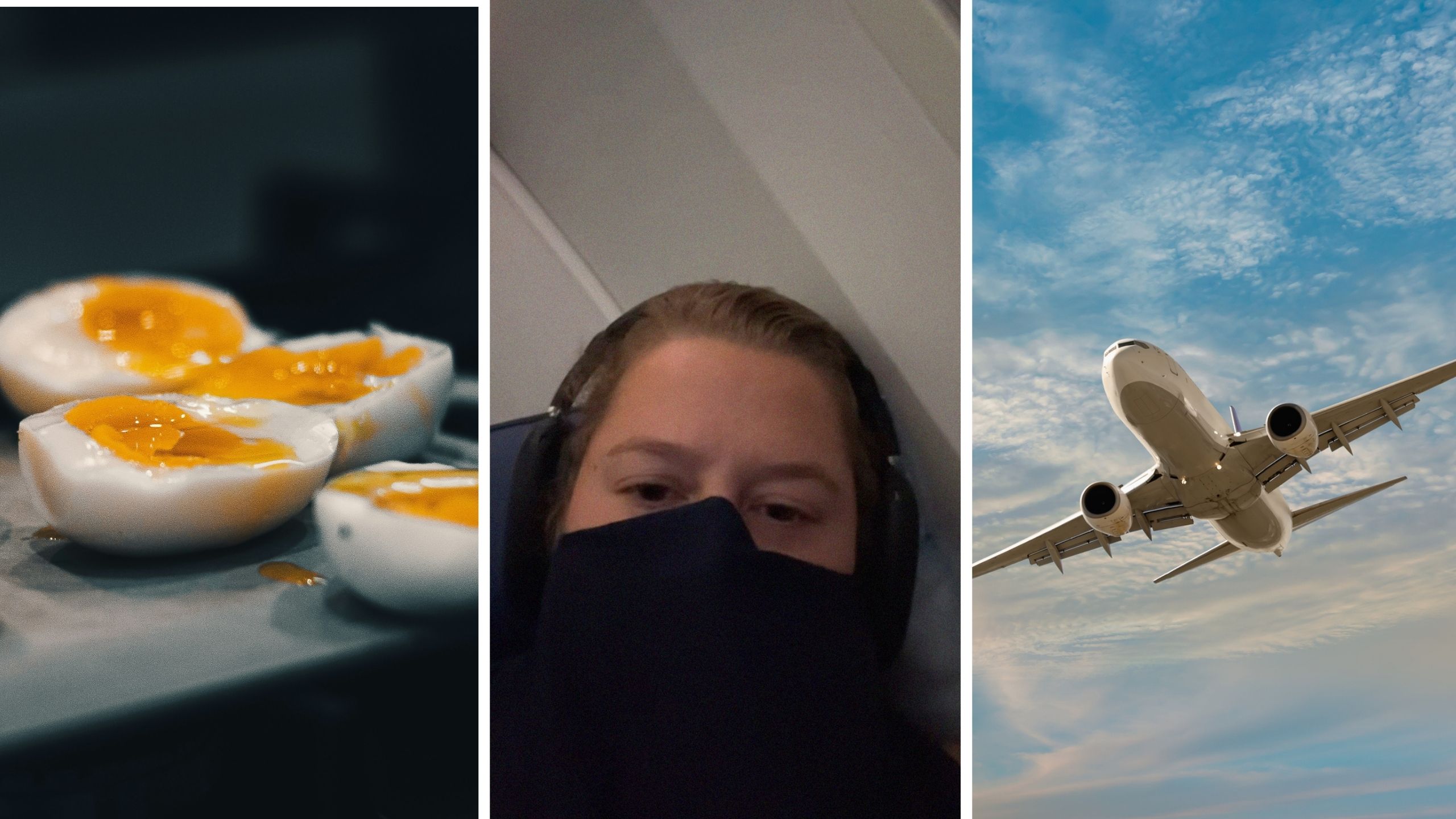boiled eggs (l) woman shares long flight experience (c) airplane (r)