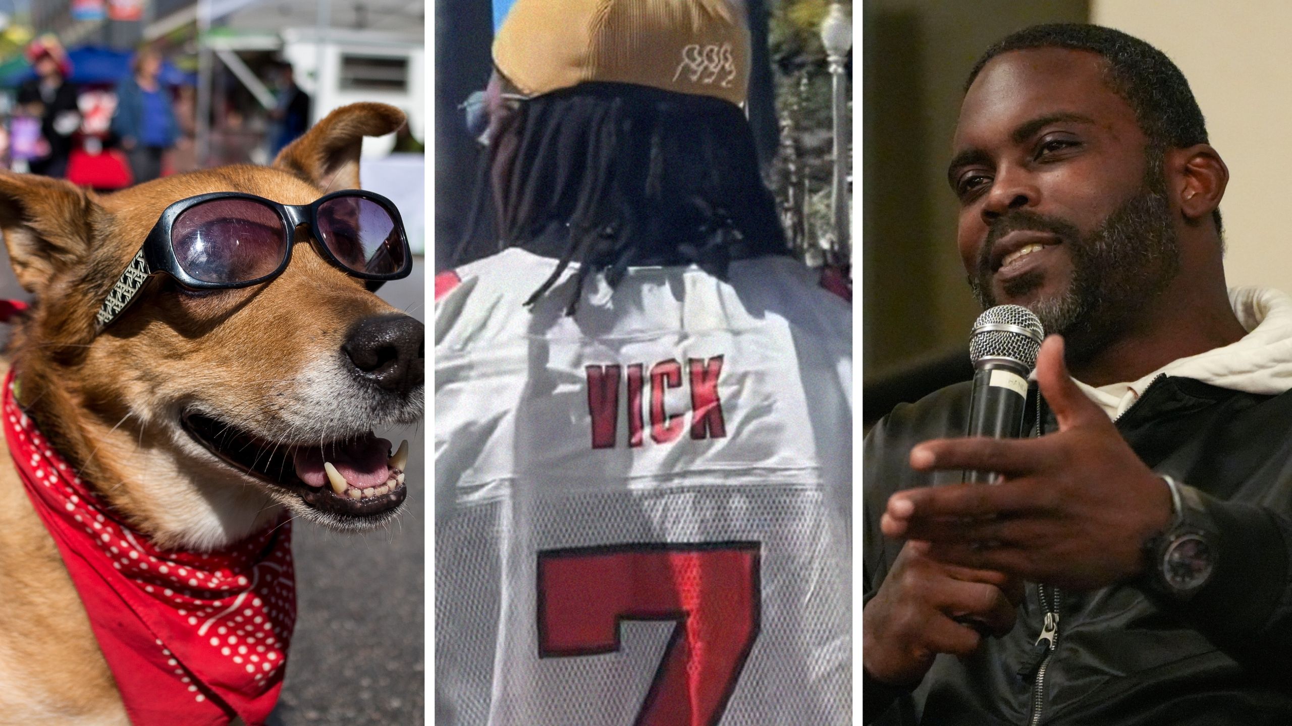 Cali Man Accidentally Wears Michael Vick Jersey To Dog Festival