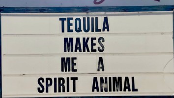 Here Are The 100 Funniest Memes So Far In October