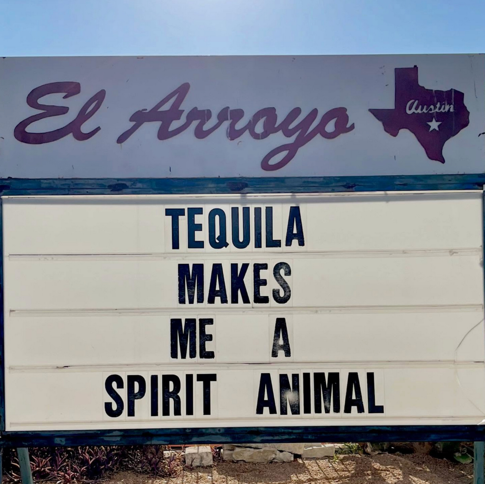 100 best memes of October so far