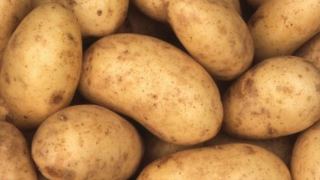 330,000 Pounds Of Potatoes Stolen From Polish Distillery After Online Rumor Led To Widespread Theft
