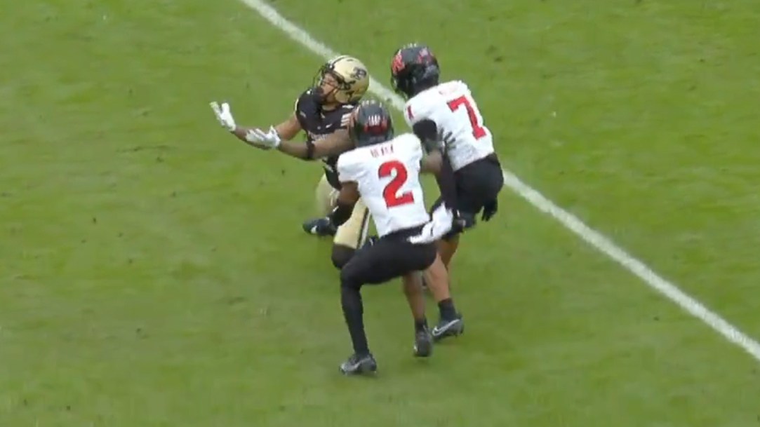 Rutgers Purdue Punt Fumble Fair Catch Interference